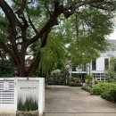 데이드림빌리버 이미지