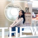 공작럭키A_상 | 더후 비첩 NAD 파워 앰풀 현대백화점 목동 팝업 스토어 방문 후기 ft 화잘먹 앰풀 추천