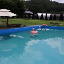 홍천무네미별마루관광농원 이미지