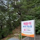 해맞이 - 달서구 | 강릉 해돋이 명소 임해자연휴양림 볼거리 TOP3 | 직접 가본 해맞이 산책로 전망대 후기