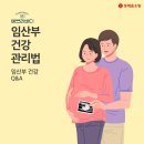 롯데 생활건강 이미지