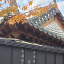 함평천지 한우비빔밥 음식테마거리 | 내 인생의 큰 걸음을 위해 한 박자 쉬어갔던 함평여행을 마치고!