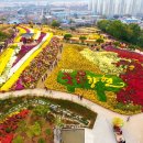 김삿갓 문학동산 시 이미지