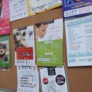쎄씨벨