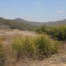 곡성-261 이미지