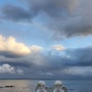 성모메디칼 약국 이미지