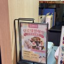 하디네일 | [뷰티] 하이디라오 네일 후기 무료 네일 받아도 괜찮을까? | 하디 젤네일 자석젤 리뷰 웨이팅 예약 팁