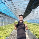 사촌농장 이미지