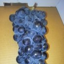 승진농장 이미지