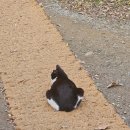 신흥말길1-9 이미지