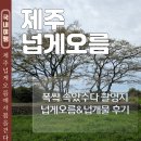 서광공원 | 4월 제주도 가볼만한곳 폭싹 속았수다 촬영지 넙게오름 강아지 동반