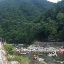 정자네 펜션 이미지