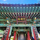 대한불교조계종봉녕사 세주묘엄박물관 | 〔수원여행〕봉녕사 배롱나무 ㅡ 능소화만 피는줄 알았는데 배롱나무꽃도 소문이 나 있었네요~