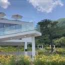 카페수피아 - 남양주시 금강로 1509-9 | 카페수피아