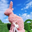 토끼나라 | 기장 빌라쥬드아난티 이상한 나라의 앨리스 토끼 포토존 후기