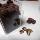 발렌타인데이 특강 초콜릿 만들기 이미지