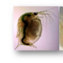 (주)동진환경 이미지