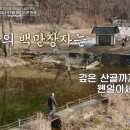 송어야 bnt뉴스