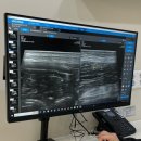 동탄시티동물의료센터 | 우리 아이 필요한 검사만 딱딱 진행해주는 맞춤형 동탄동물병원 (애견동반) #24시동탄시티동물의료센터