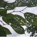 ㈜ 현농 이미지