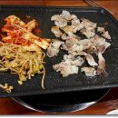 33한돼지 이미지