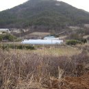 상부농장 이미지