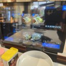 퀴즈노스 충남내포신도시점 | 내포신도시 밥집 가브리살보쌈 맛있게 먹은 손정보쌈 내포신도시점 방문 후기