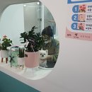 동글동글 애견미용실 이미지