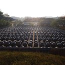 서일식당 이미지