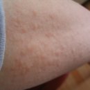 봉계농장 이미지