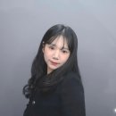 취업은 끝이 아닌 시작 티스토리