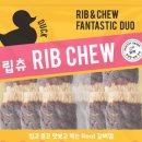 앤더독 이미지