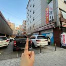 애완용품도매·할인