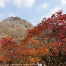 달리삭스 | 등산양말 메이아라 기능성 아리아 등산니삭스 후기