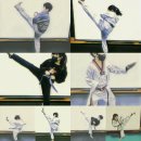 금빛나래태권도 이미지