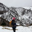 본전식당 이미지