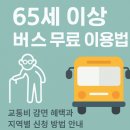 65세이상 감면 | 65세 이상 버스 무료 이용법｜교통비 감면 혜택과 지역별 신청 방법 안내