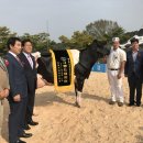 그랜드목장 이미지