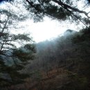 (주)솔밭 이미지