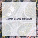 영통단단마디의원 이미지