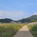 삼회1리 마을회관 Daum카페