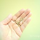 동진2농장 이미지