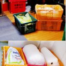 처분이사 이미지