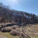 호재부동산 공인중개사사무소 이미지