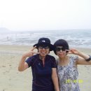 여행 - 화성시 사강시장길43번길 23 | 여행
