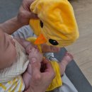 햇살과나무 | 4개월 아기 문화센터 햇살아이 오감나무 이마트 풍산점 후기