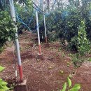 251018 막말·고성 법사위 파행…&#34;尹 꼬붕&#34;-&#34;예의 이따위로&#34; 이미지