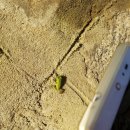 항포 펜션 이미지