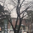 [안성/죽산] 내돈내산 저수지뷰 빵맛집 베이커리카페 솔직후기_하에레츠설동제빵소