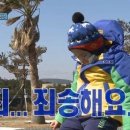 한라도니 이미지